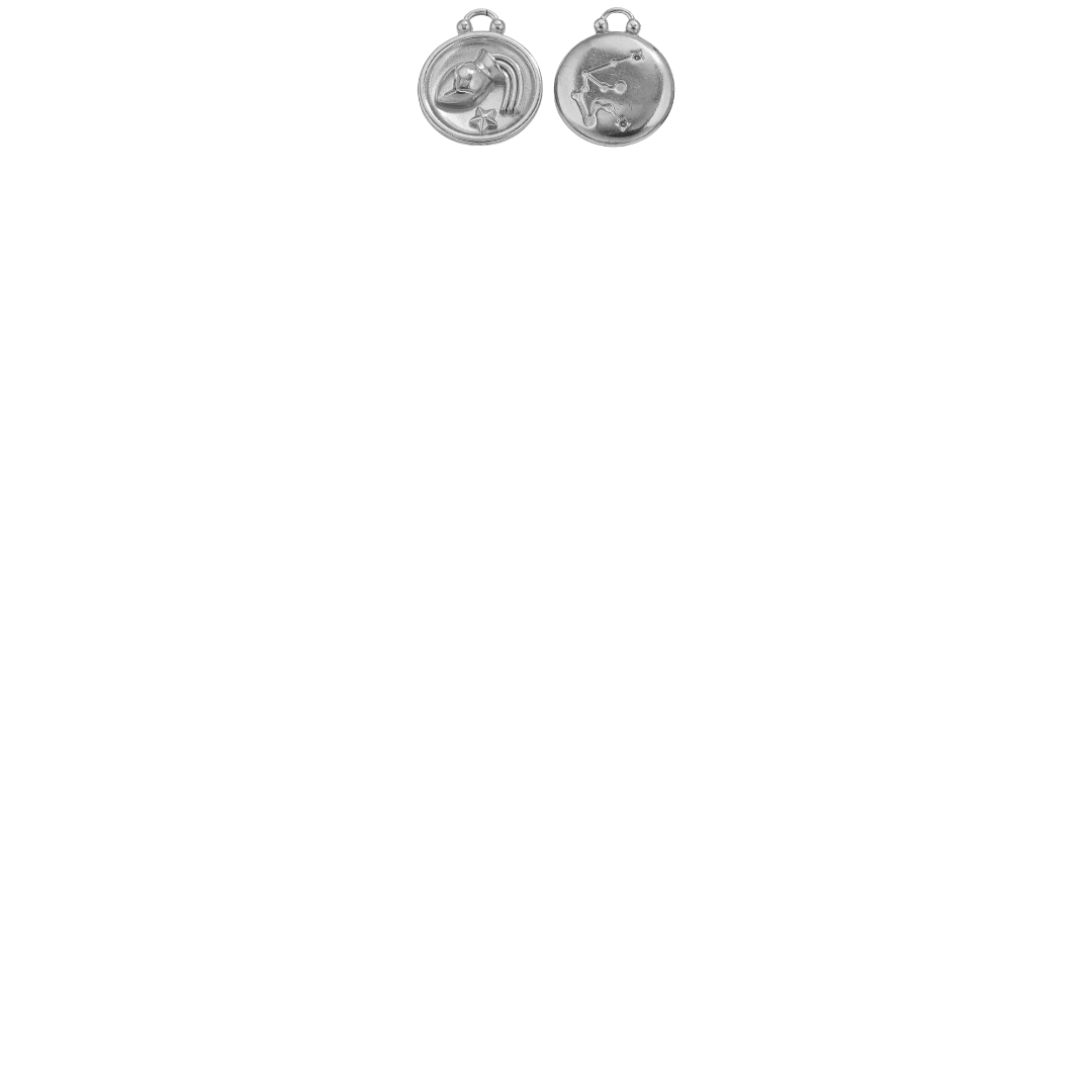 Zodiac Sign Charms