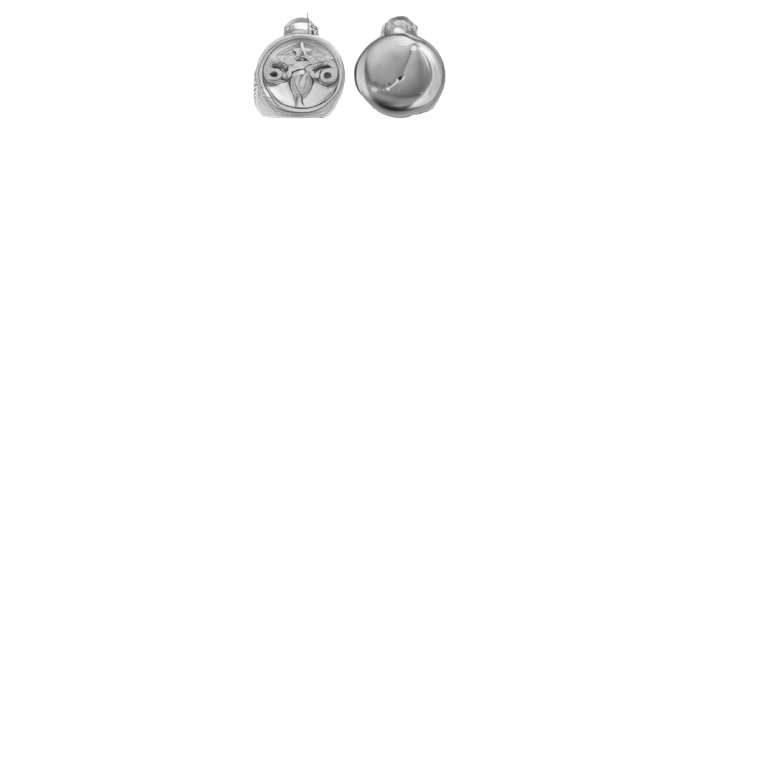 Zodiac Sign Charms