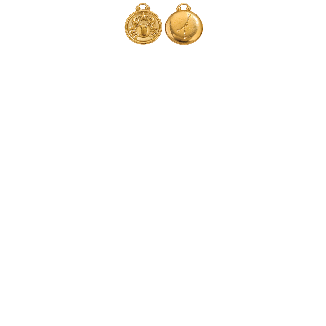 Zodiac Sign Charms