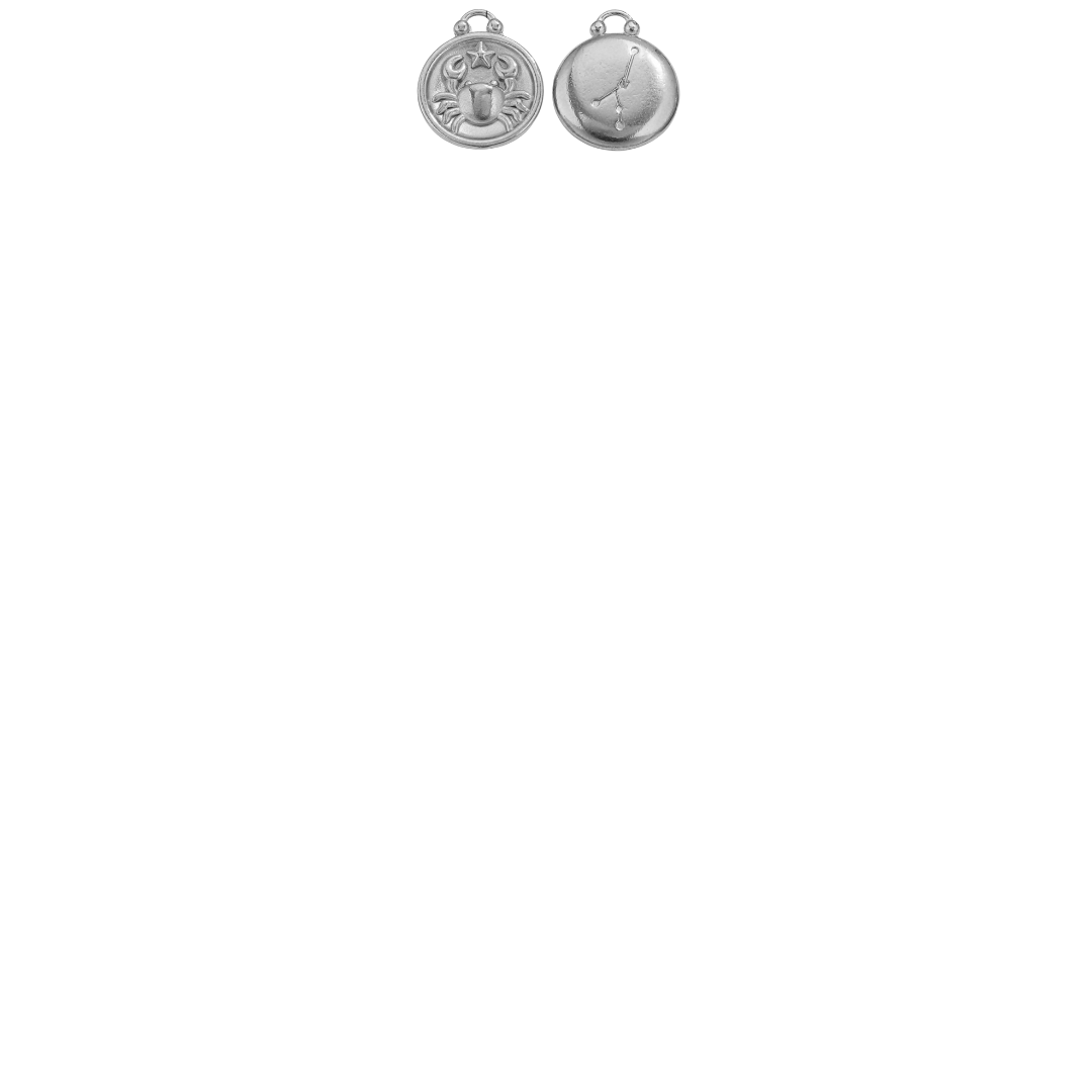 Zodiac Sign Charms