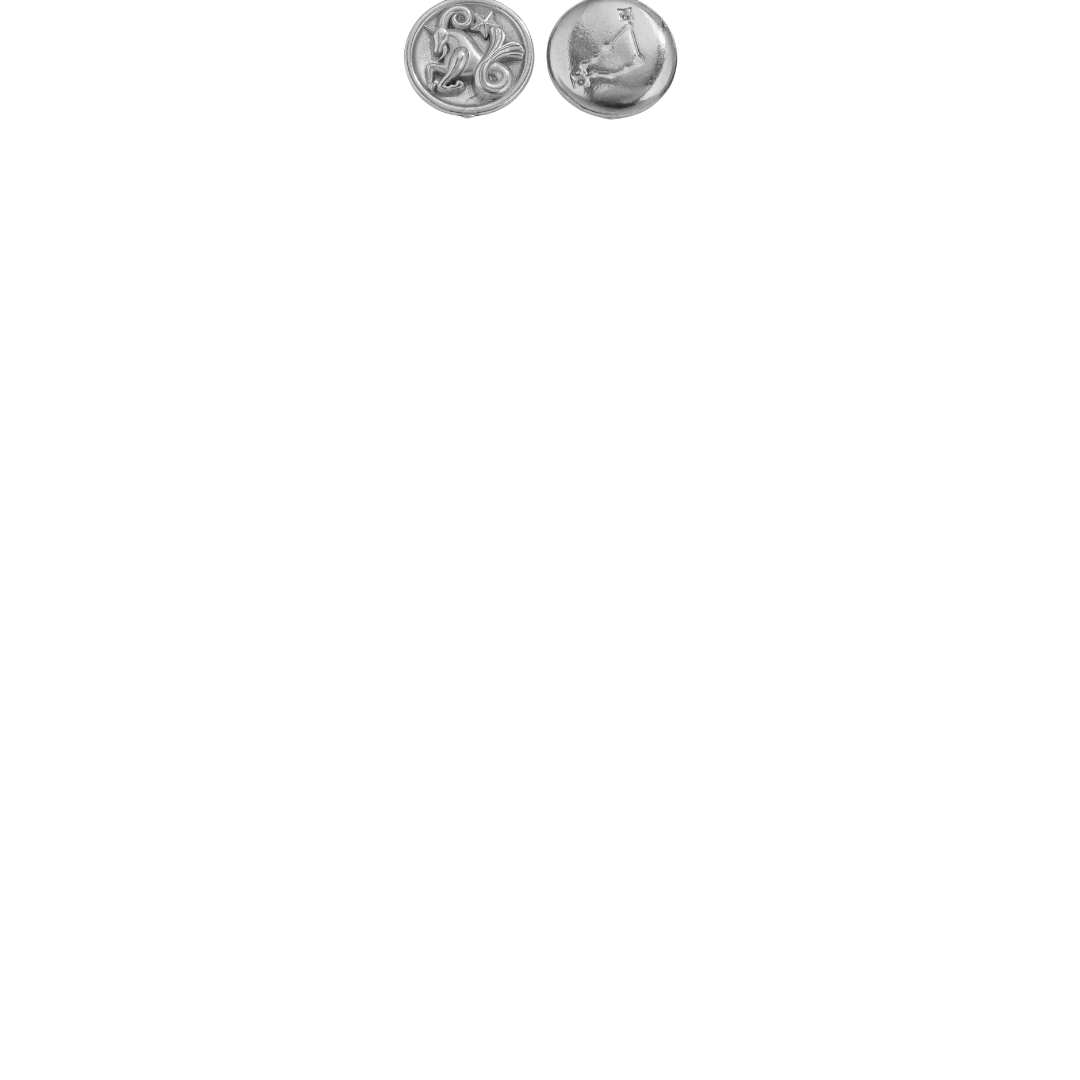 Zodiac Sign Charms