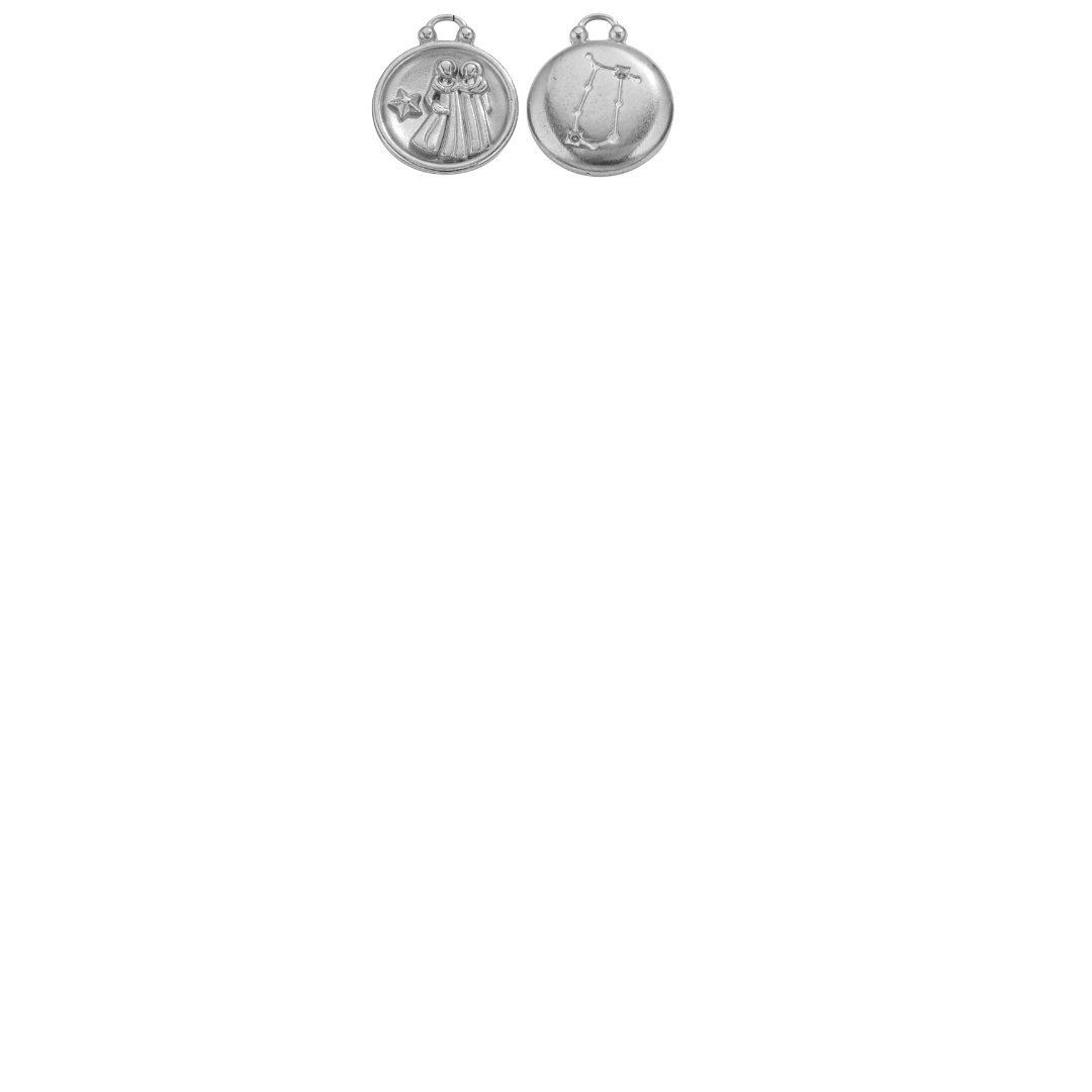 Zodiac Sign Charms