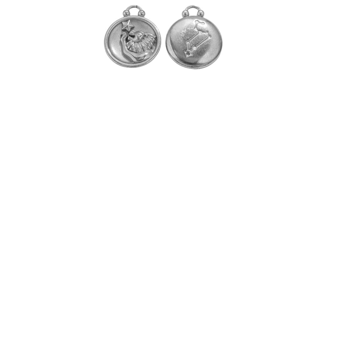 Zodiac Sign Charms