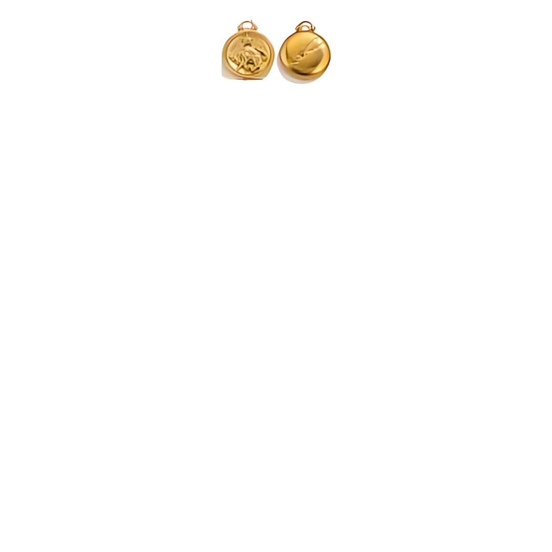 Zodiac Sign Charms