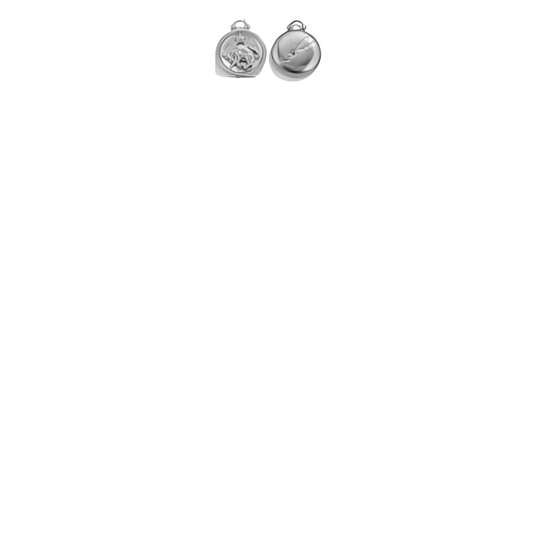 Zodiac Sign Charms