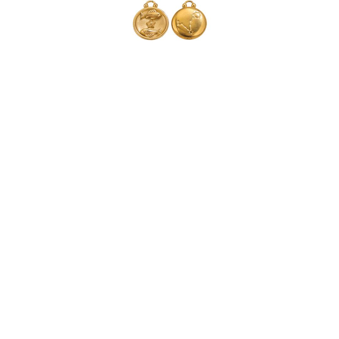 Zodiac Sign Charms