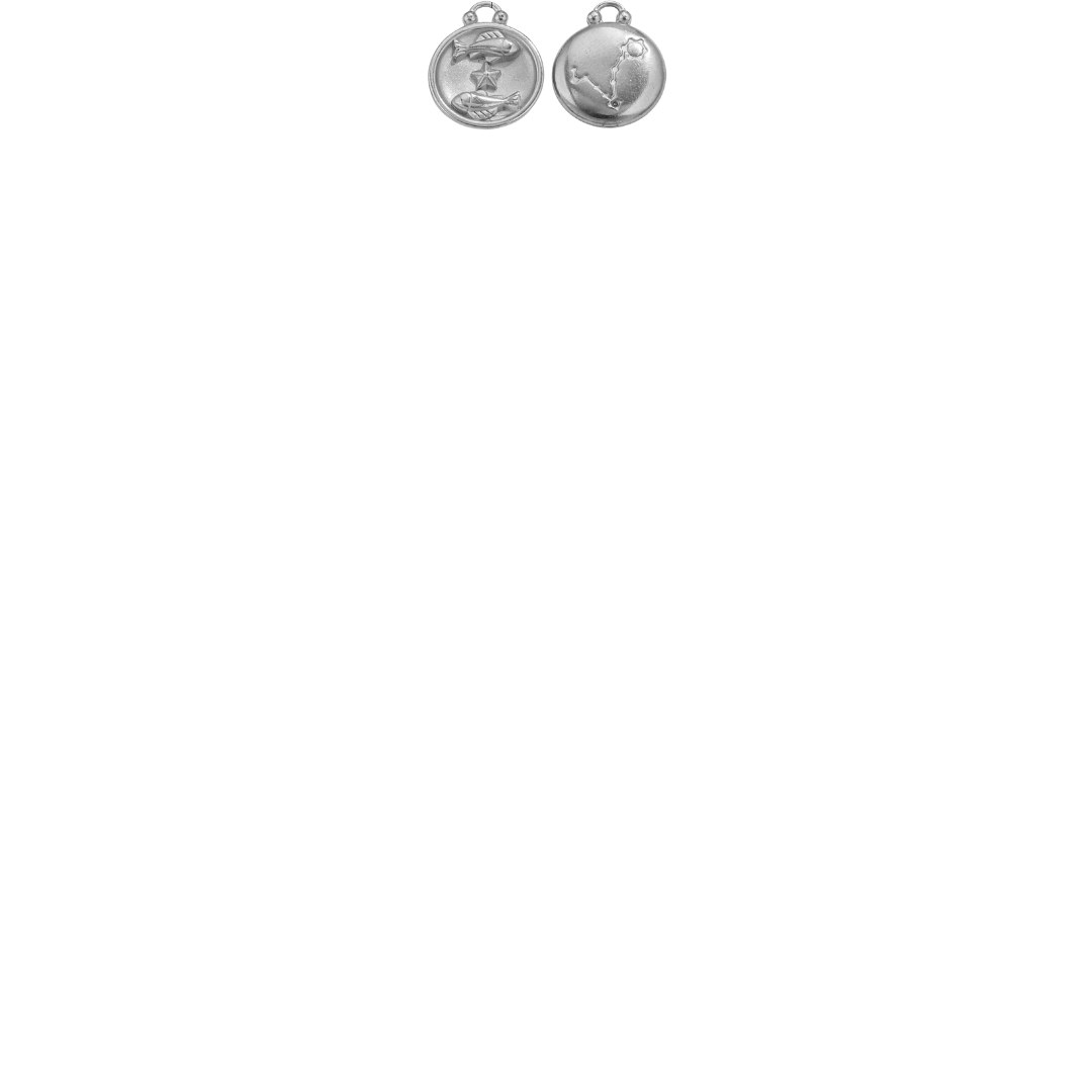 Zodiac Sign Charms