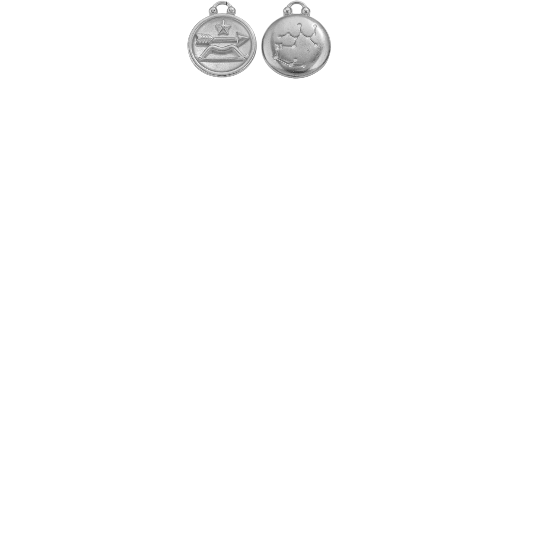 Zodiac Sign Charms