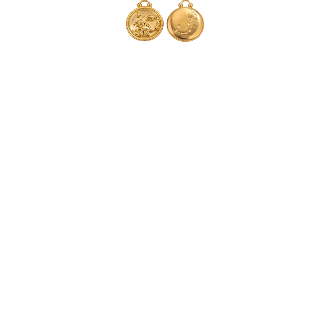 Zodiac Sign Charms