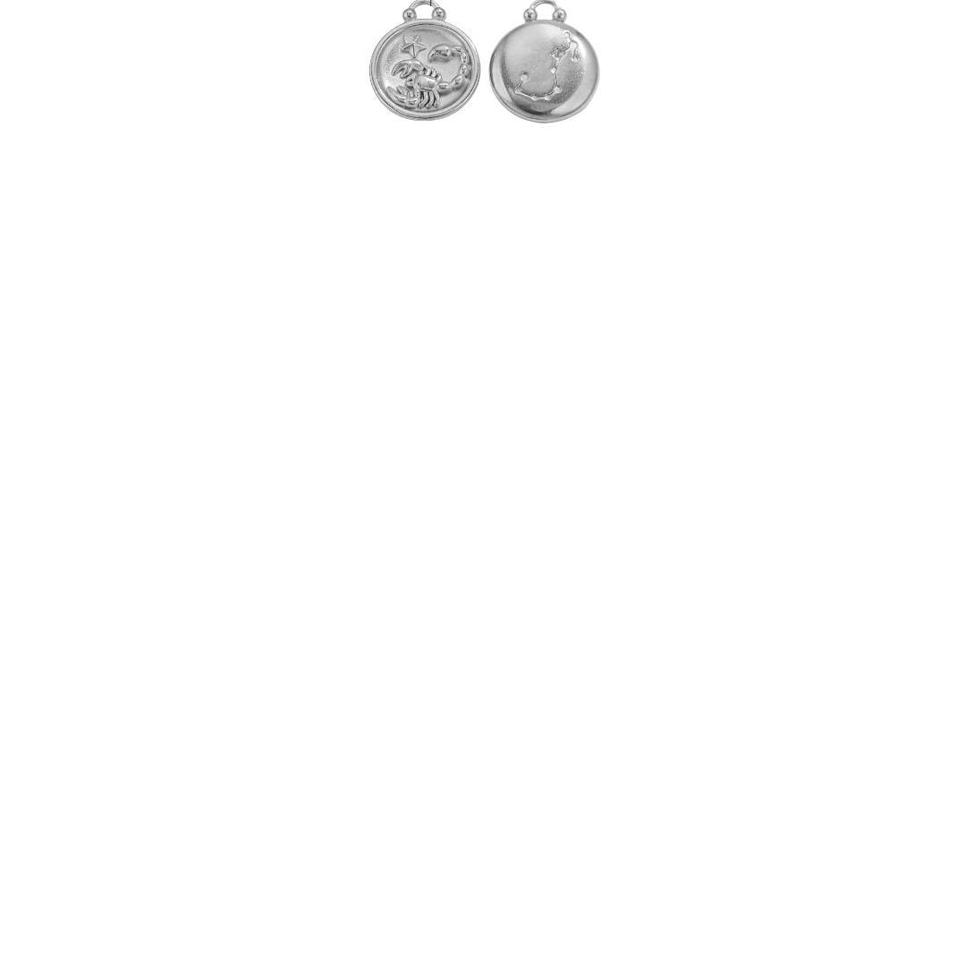 Zodiac Sign Charms