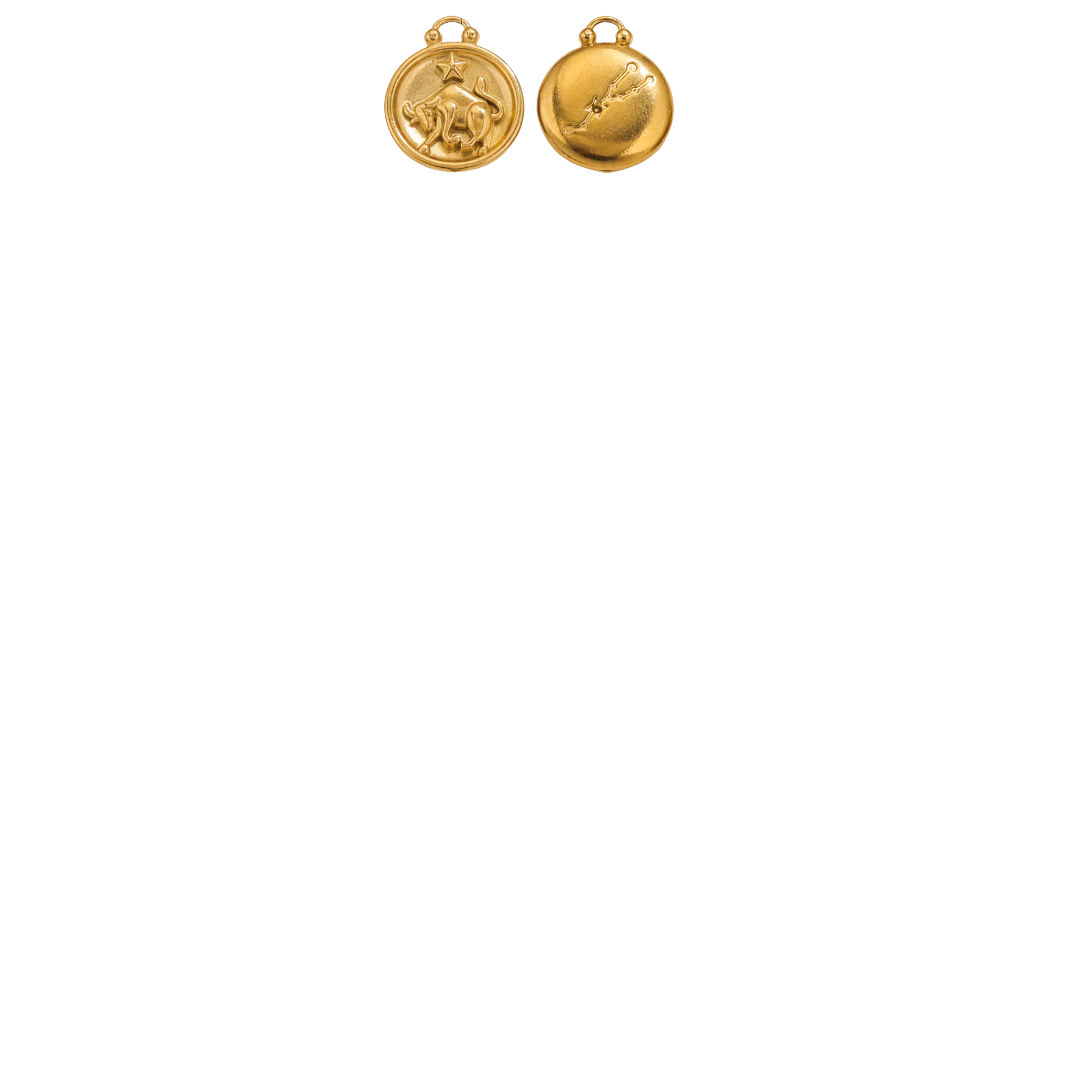 Zodiac Sign Charms