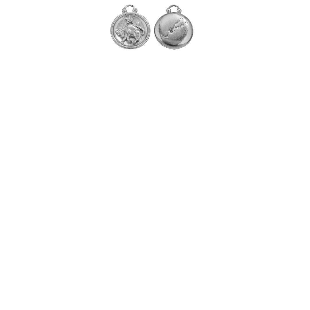 Zodiac Sign Charms