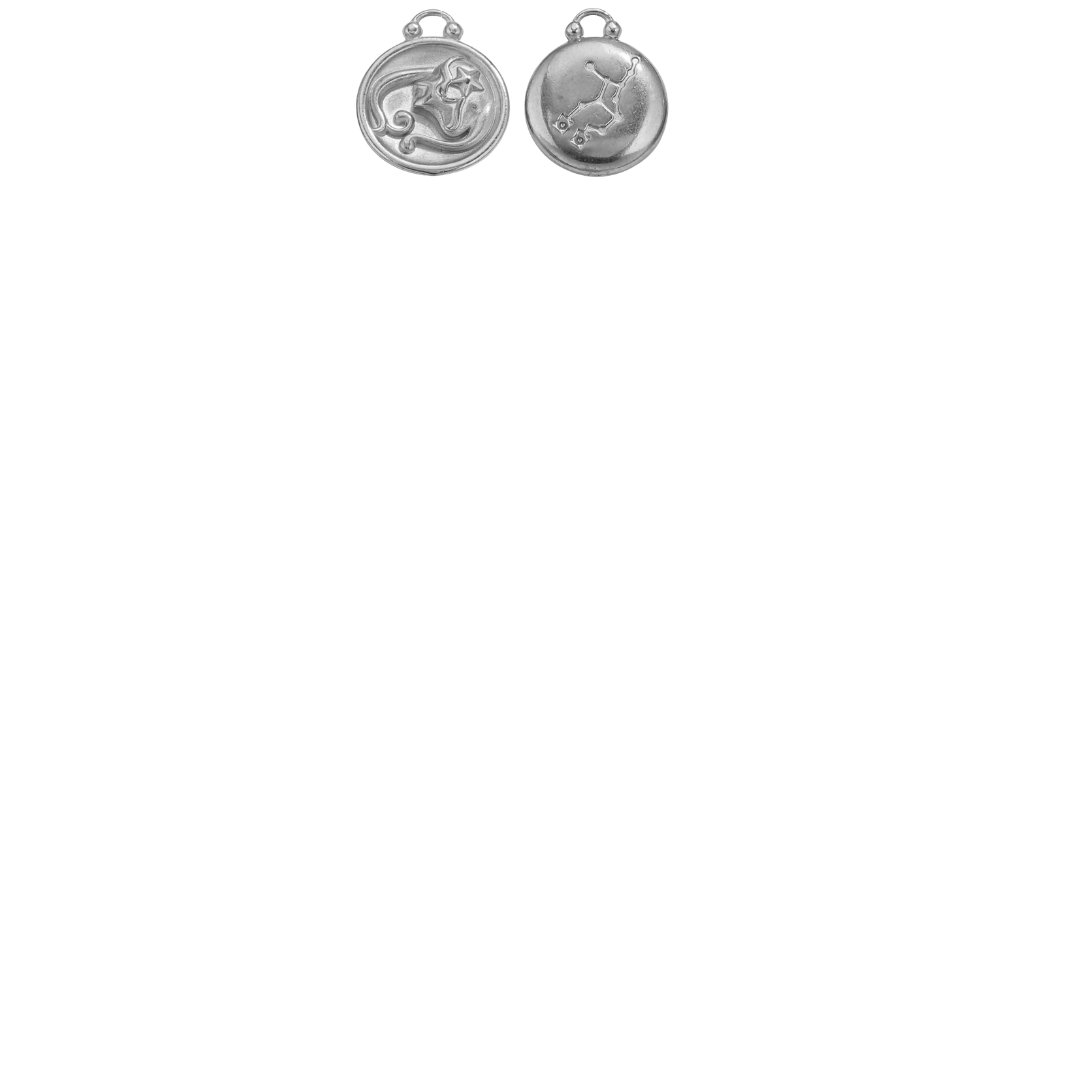 Zodiac Sign Charms