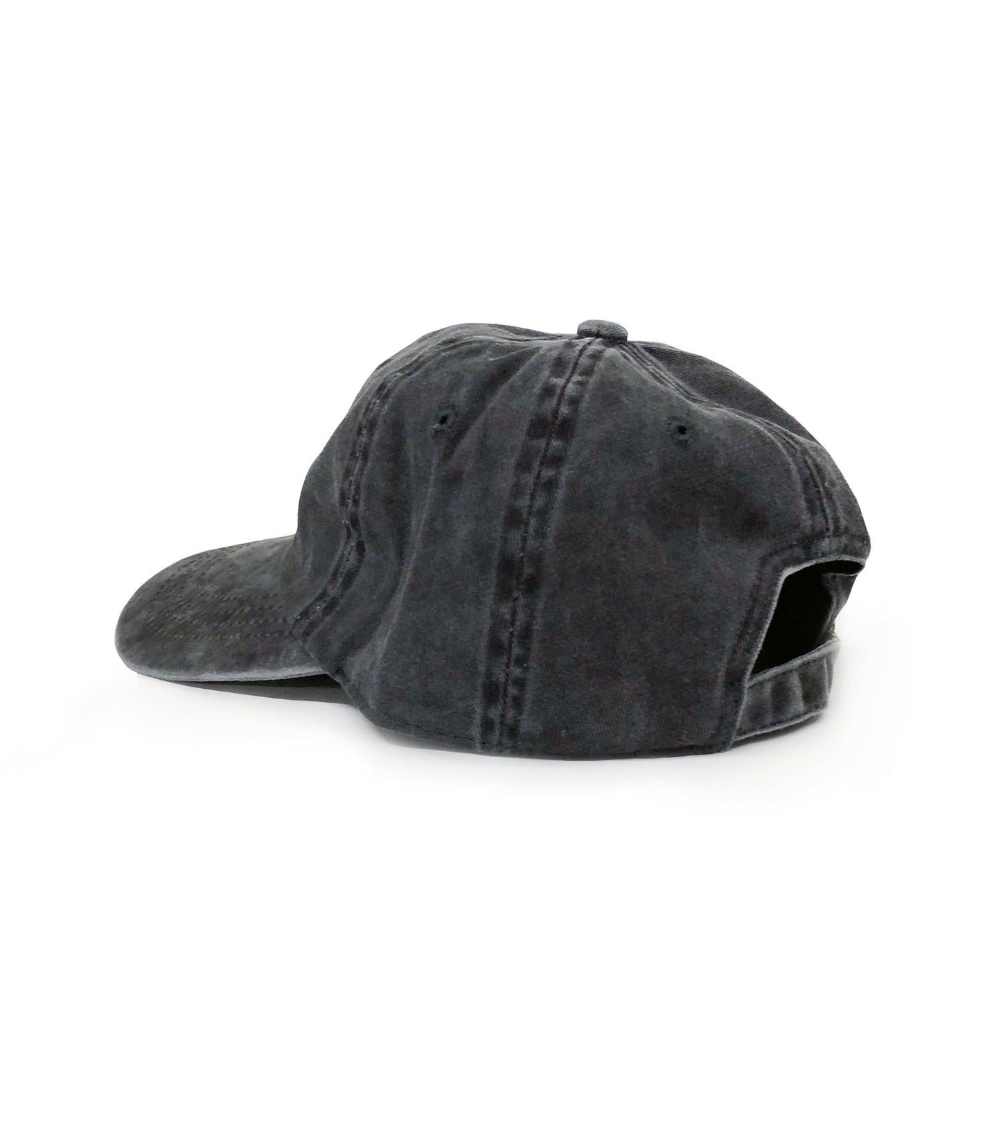 Vintage Wash "FUTURE DILF" Dad Hat