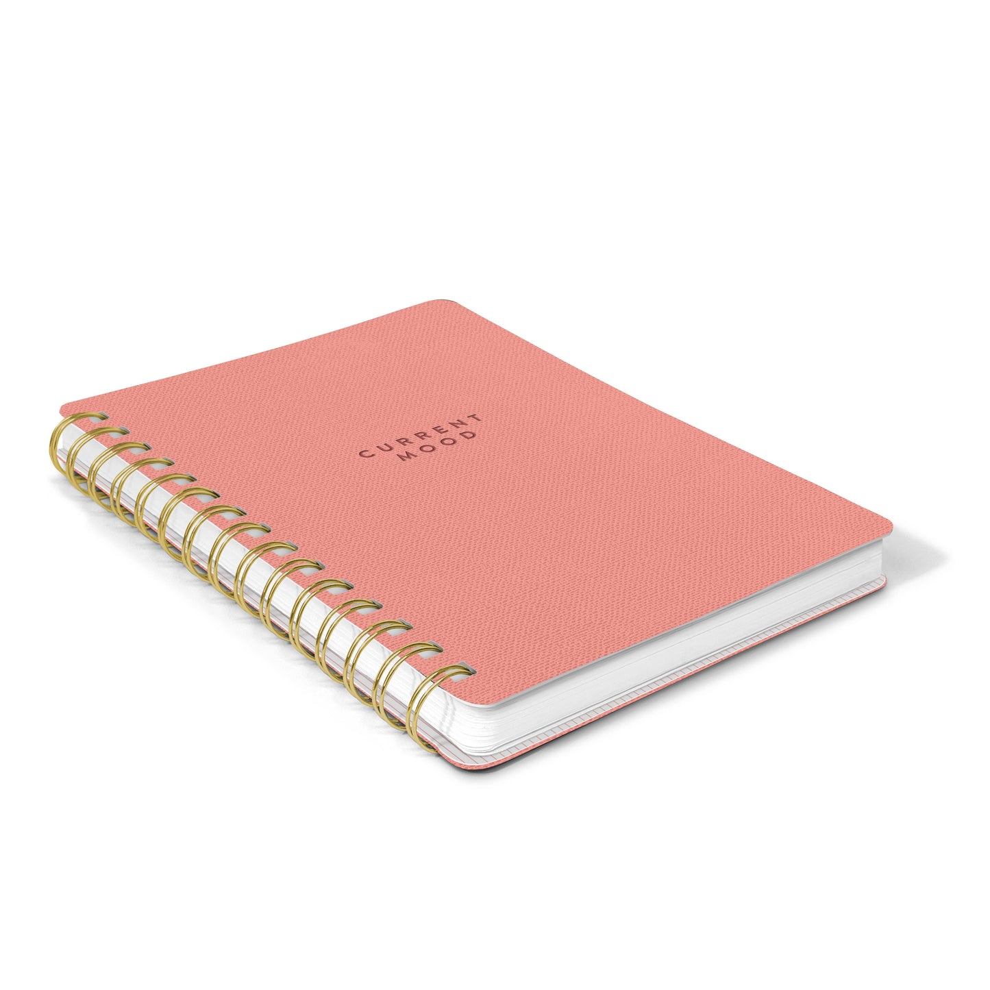 Current Mood Agatha Notebook