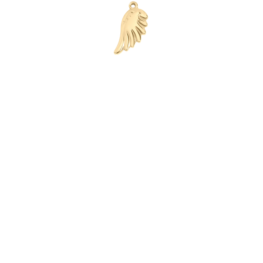 Gold and Silver Charms