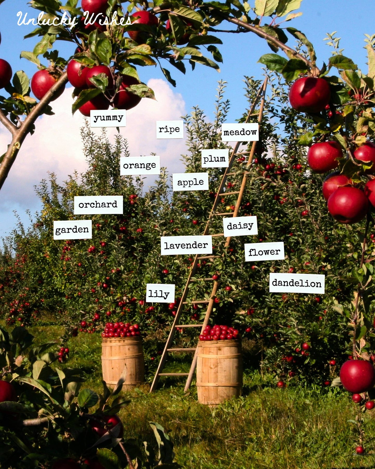 Whimsical Poetry Magnets | 376 Unique Words & Letters