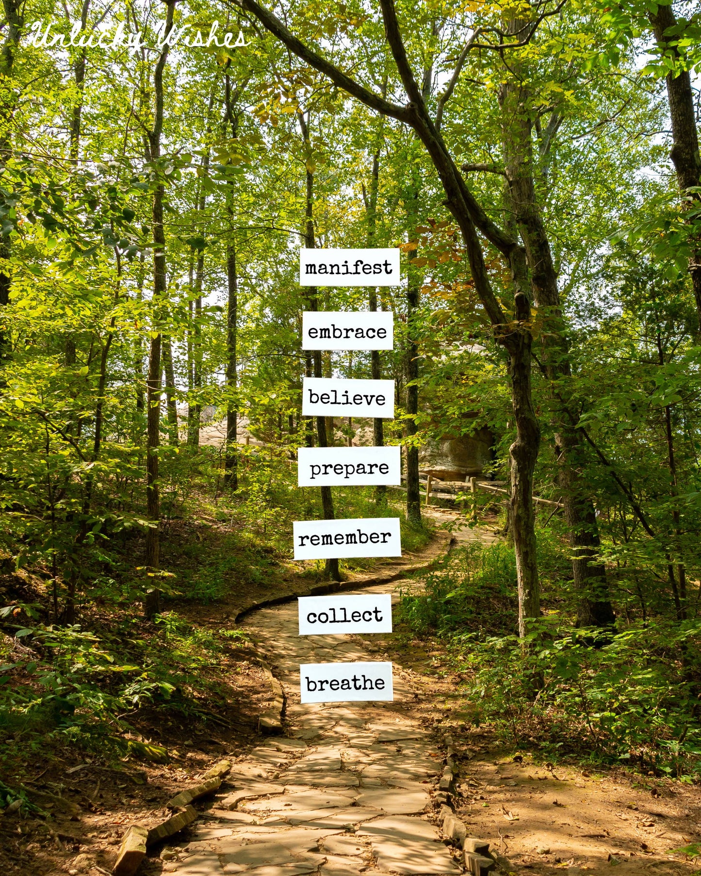 Whimsical Poetry Magnets | 376 Unique Words & Letters