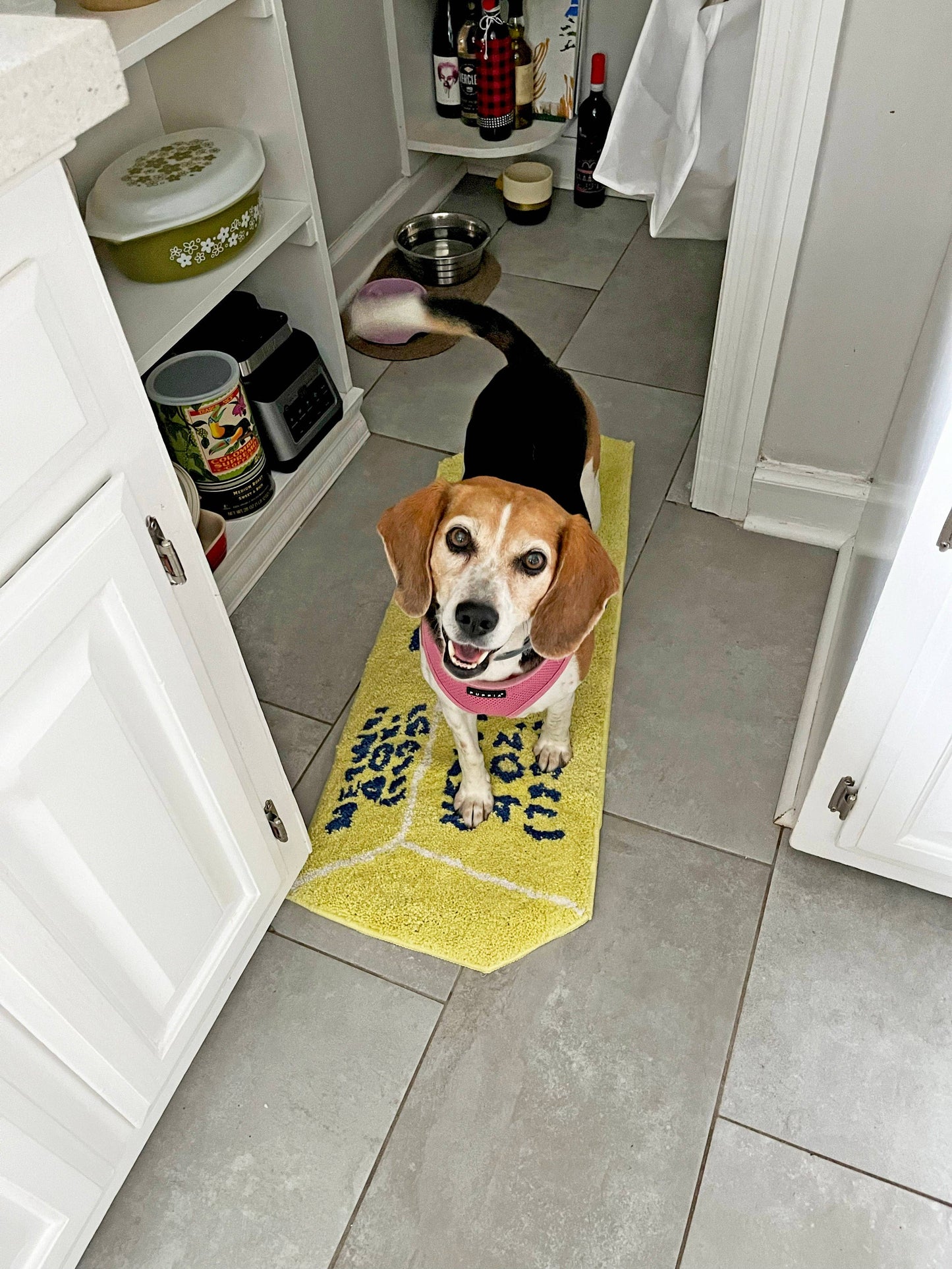 Butter Rug